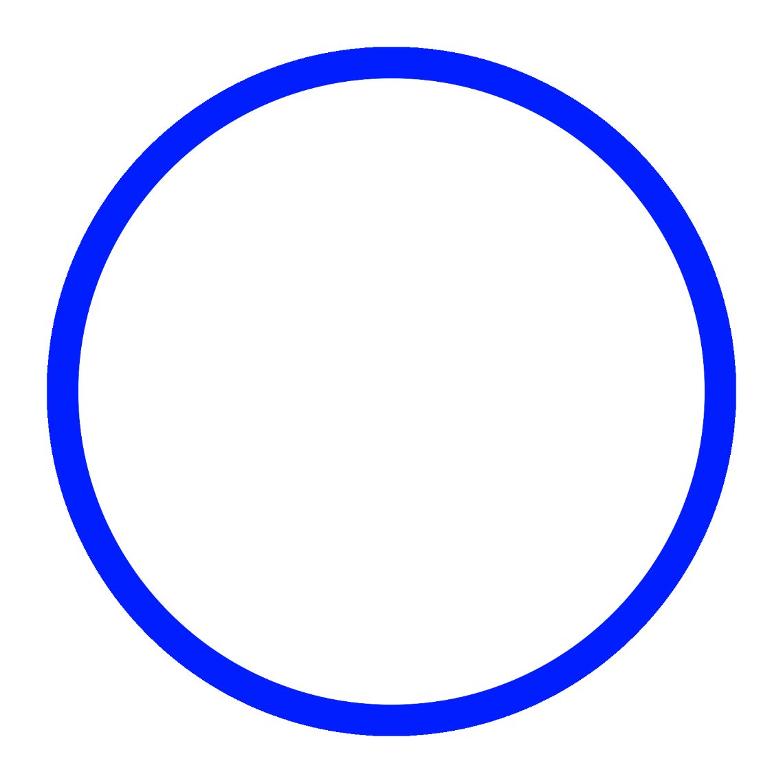фото белый круг